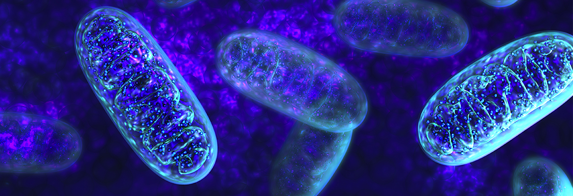 High Cost of Hospitalizations for Mitochondrial Diseases Highlighted